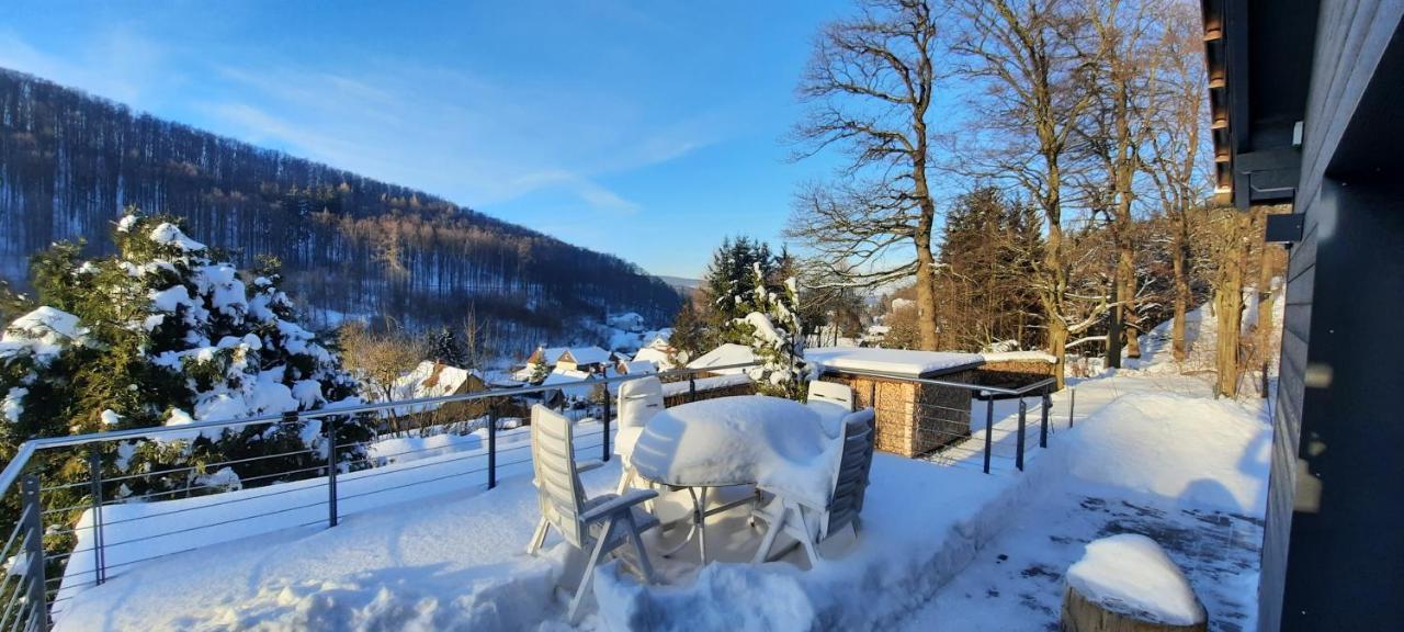 Ferienhaus "Haus Sommerstieg" Waltershausen Extérieur photo